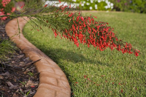 Brick Edging in Birmingham