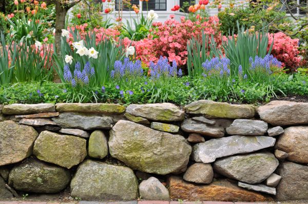Stone Wall Hardscaping in Birmingham